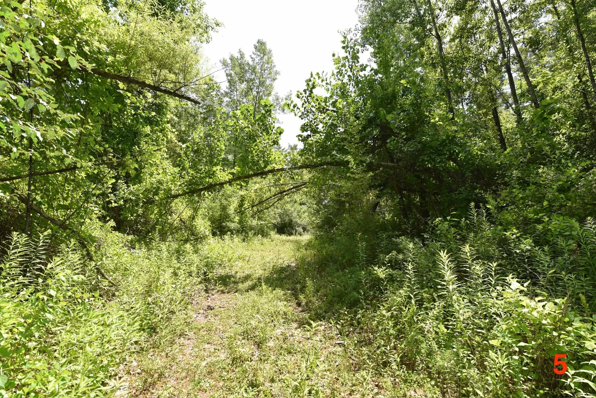 0 High Pine Drive Arlington VT 05250