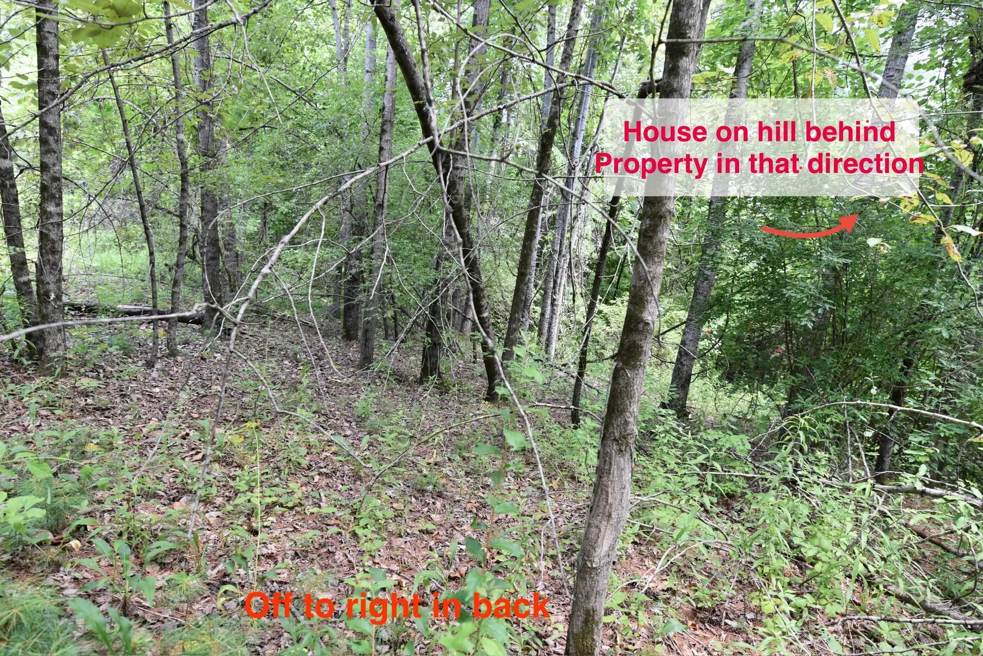 0 High Pine Drive Arlington VT 05250