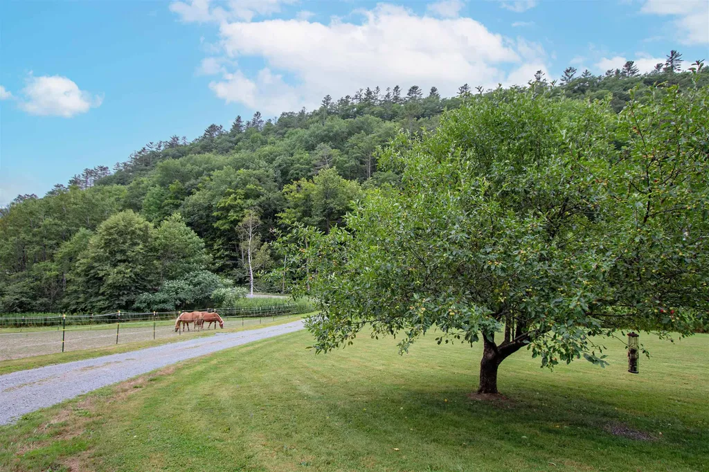 1372 Comerford Dam Road Barnet VT 05821