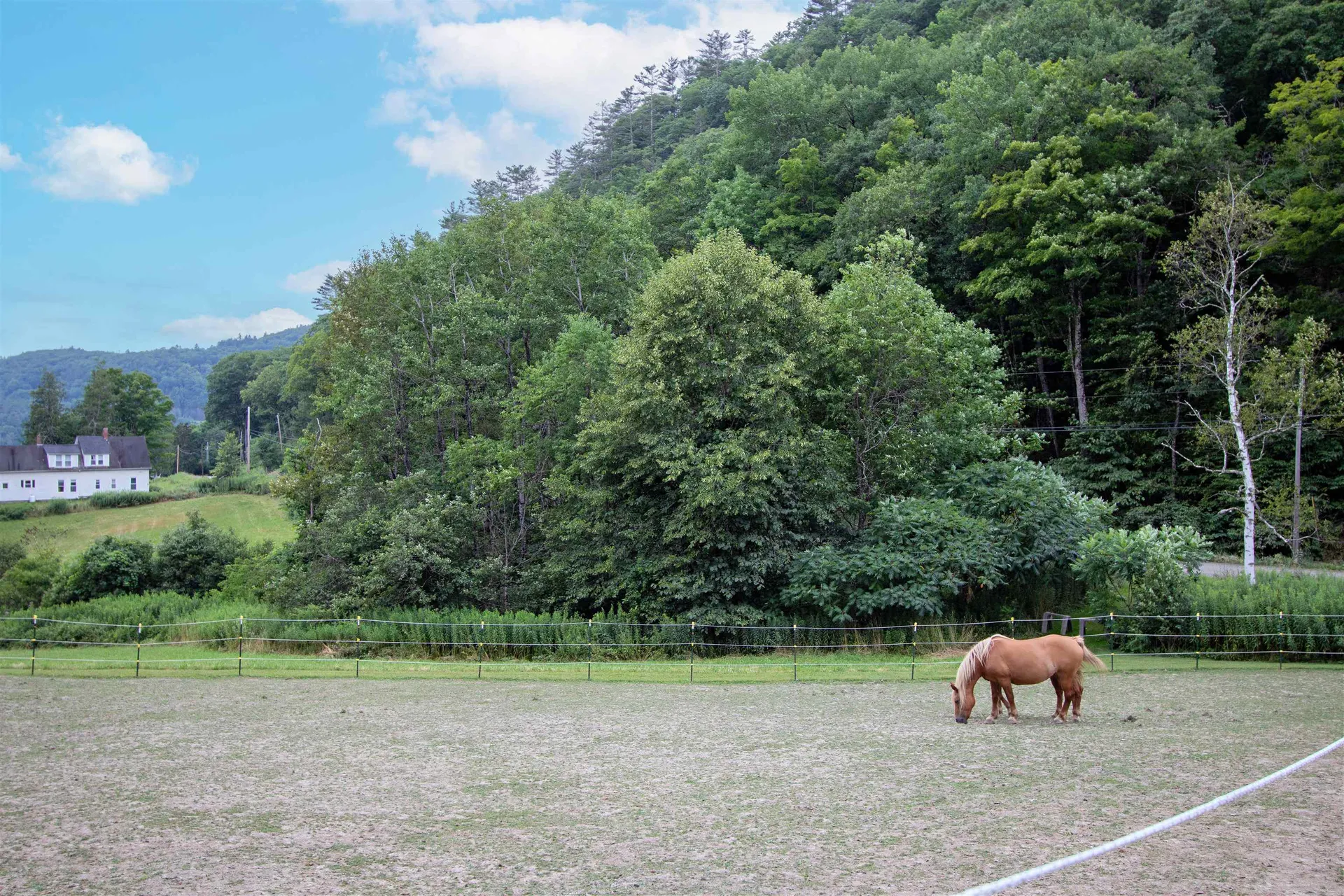 1372 Comerford Dam Road Barnet VT 05821