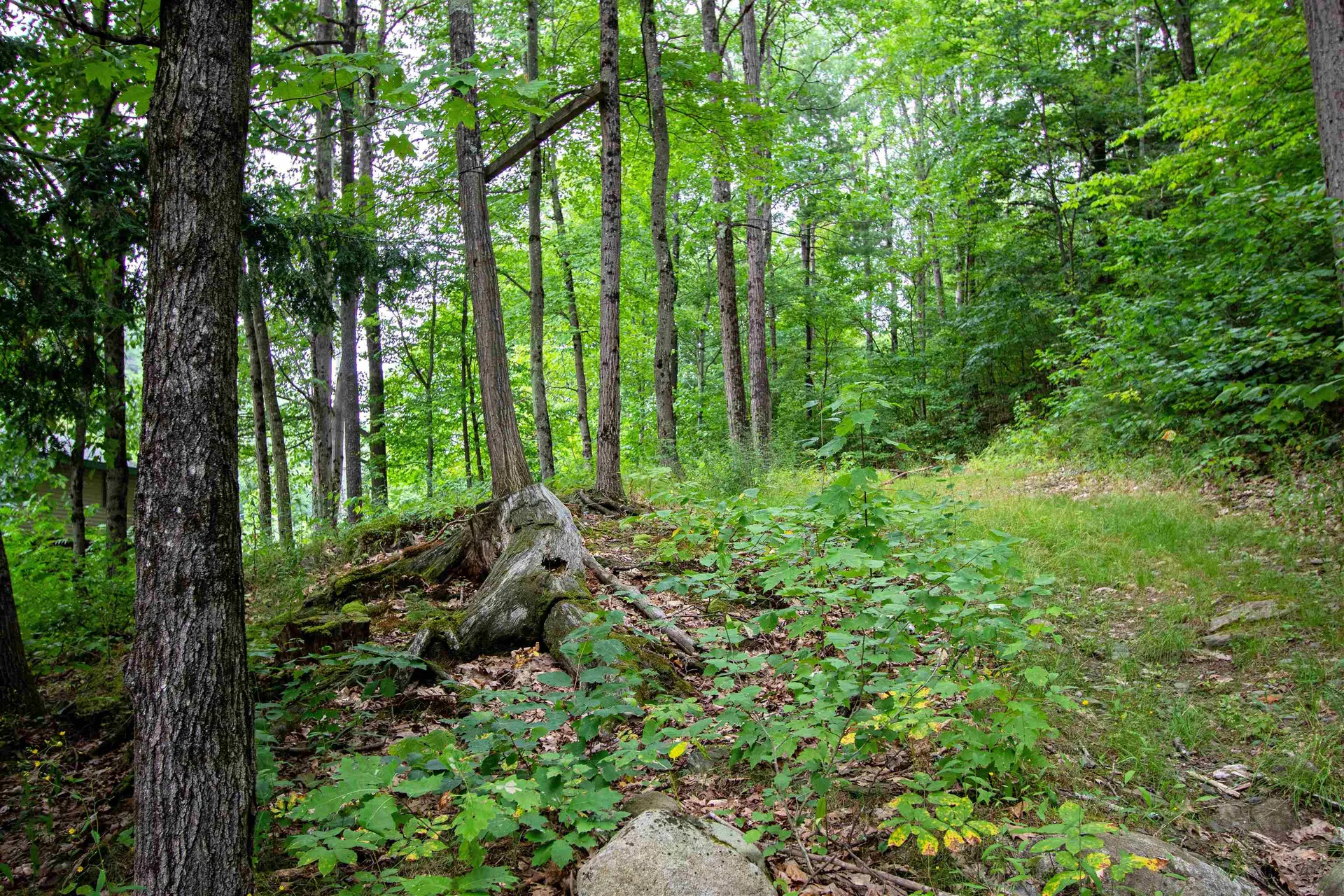 1372 Comerford Dam Road Barnet VT 05821