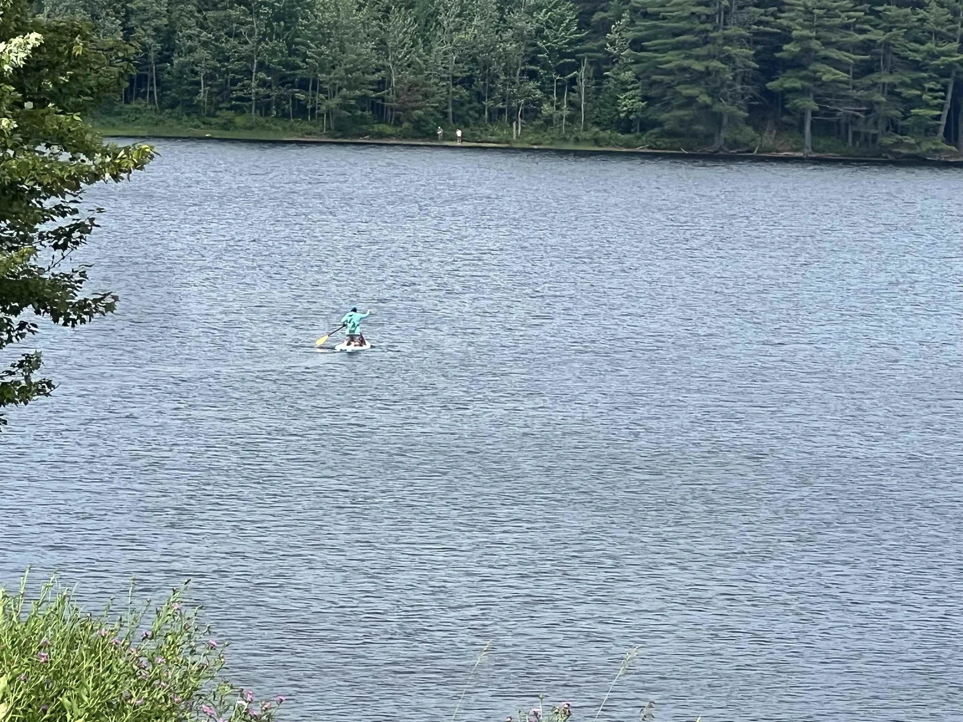 24 Ball Park Road Goshen NH 03752