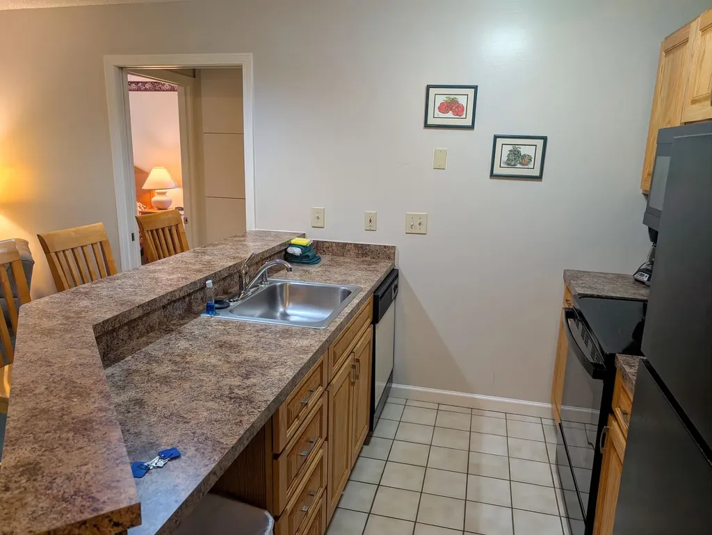 156 Deer Park Drive Woodstock NH 03262