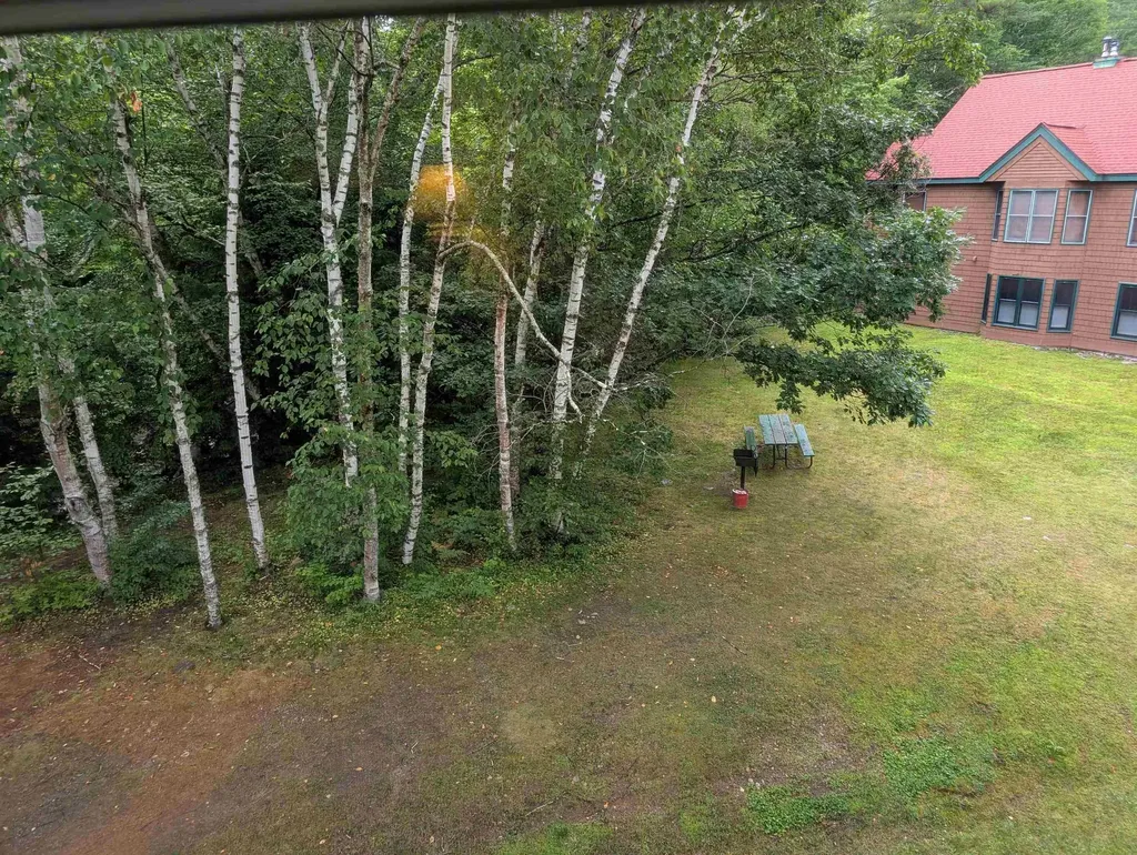 156 Deer Park Drive Woodstock NH 03262