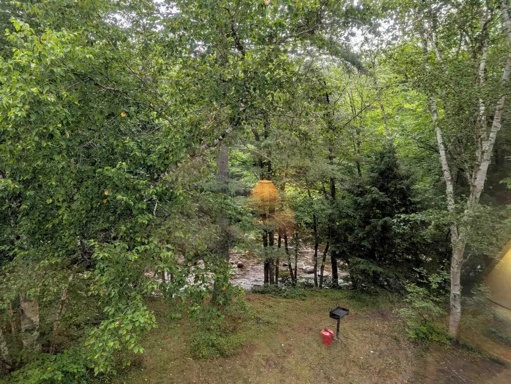 156 Deer Park Drive Woodstock NH 03262