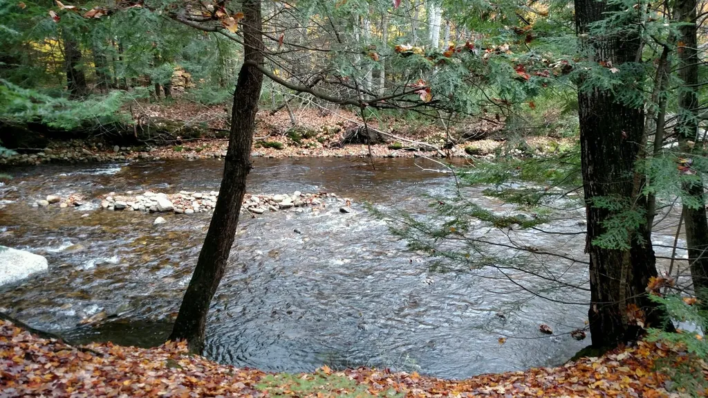 156 Deer Park Drive Woodstock NH 03262