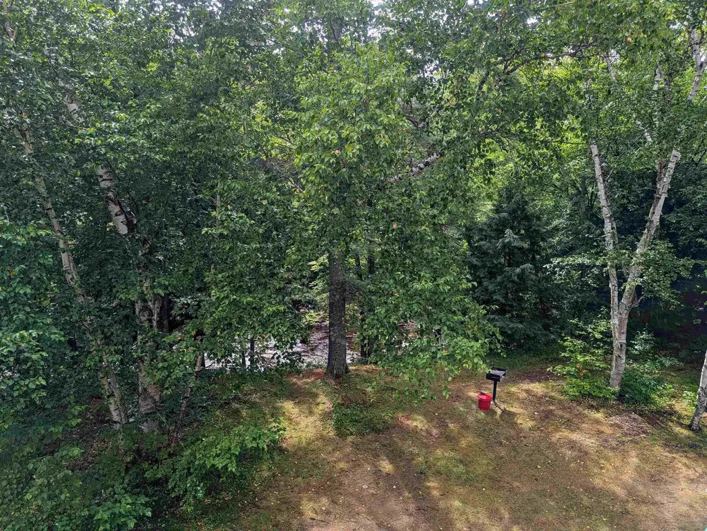 156 Deer Park Drive Woodstock NH 03262