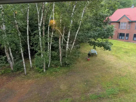 156 Deer Park Drive Woodstock NH 03262