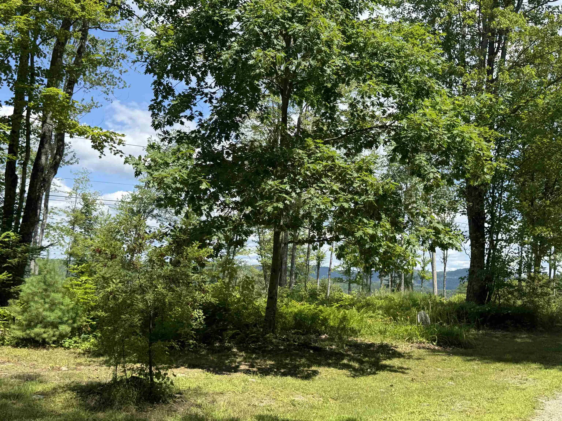4222 Leighton Hill Road Newbury VT 05081