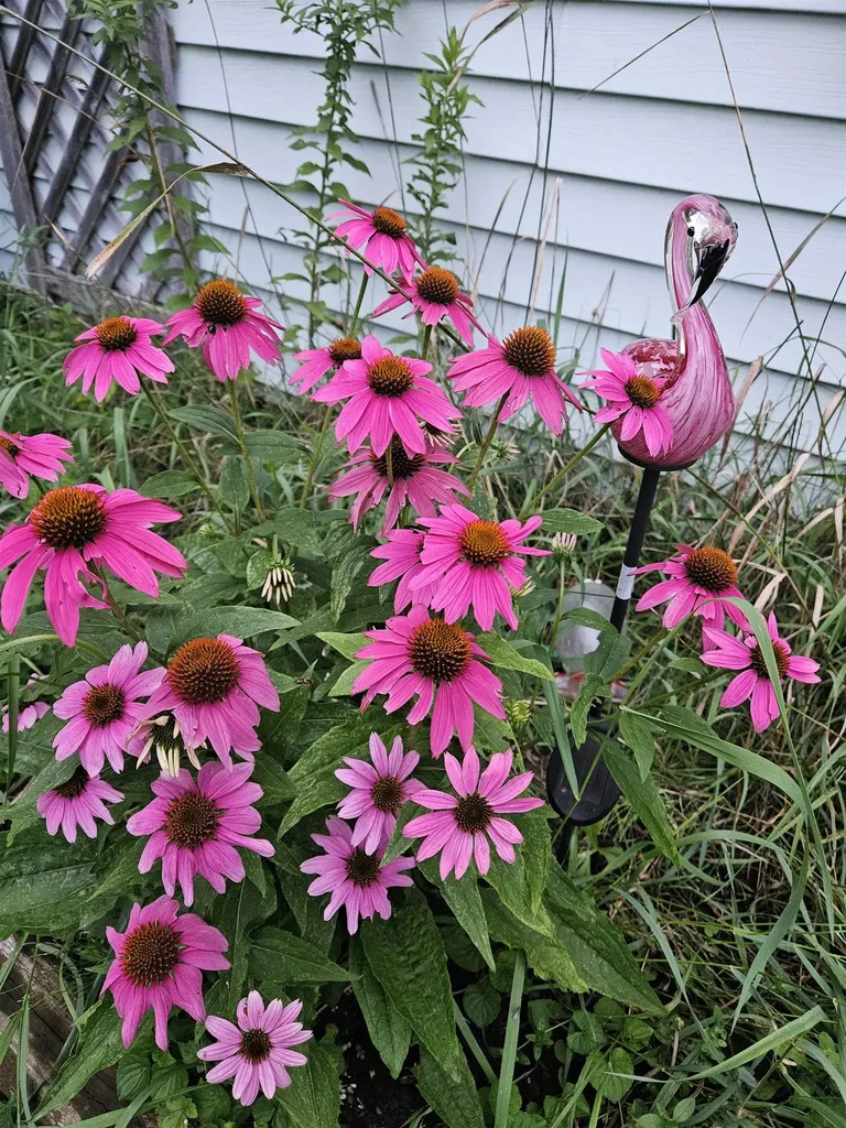 6680 Route 5, S Newbury VT 05051