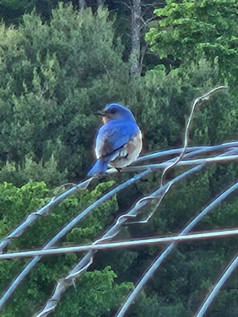 6680 Route 5, S Newbury VT 05051