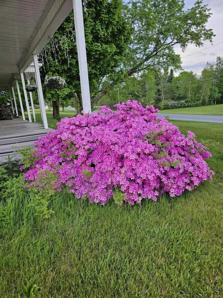 6680 Route 5, S Newbury VT 05051