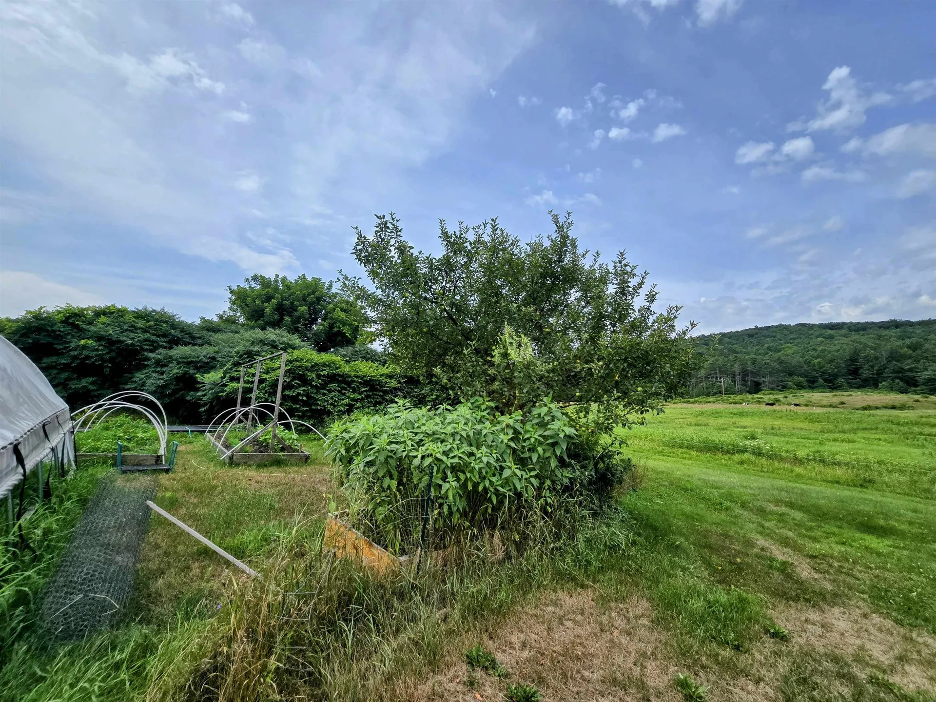 6680 Route 5, S Newbury VT 05051