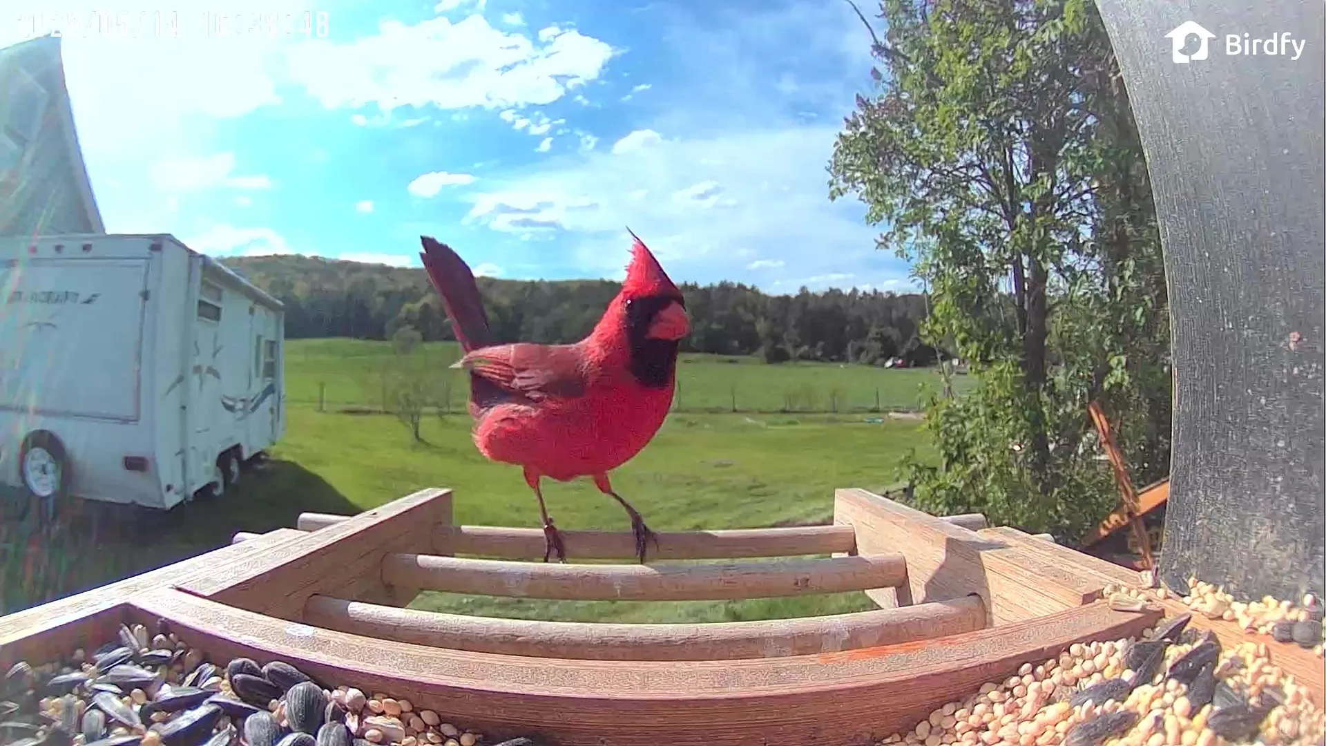 6680 Route 5, S Newbury VT 05051