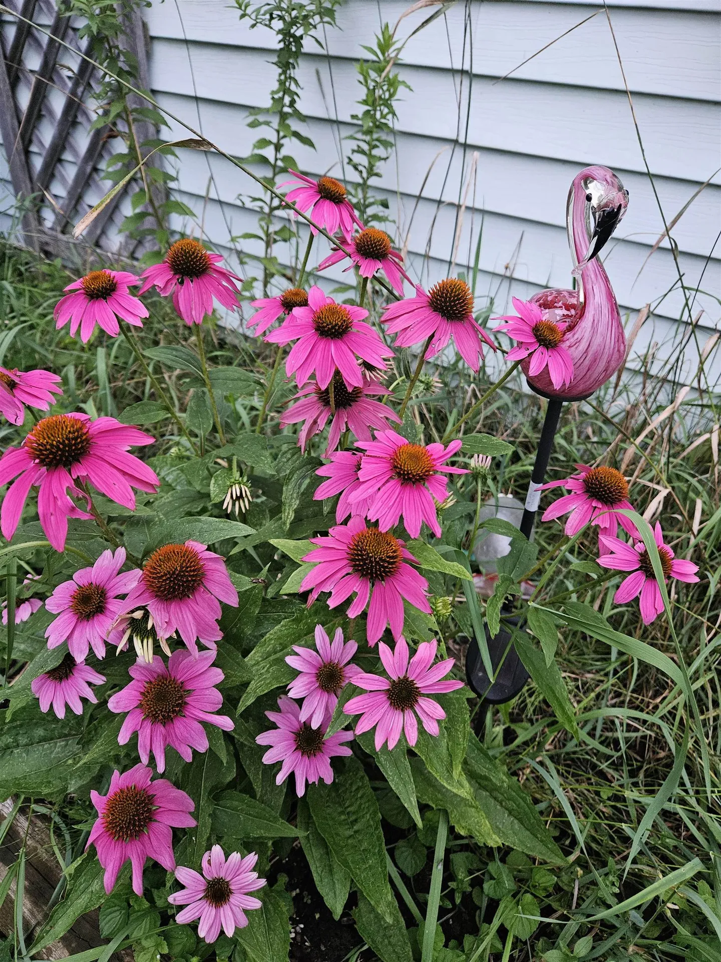 6680 Route 5, S Newbury VT 05051