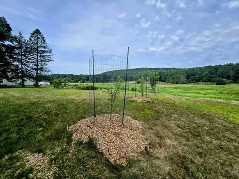 6680 Route 5, S Newbury VT 05051