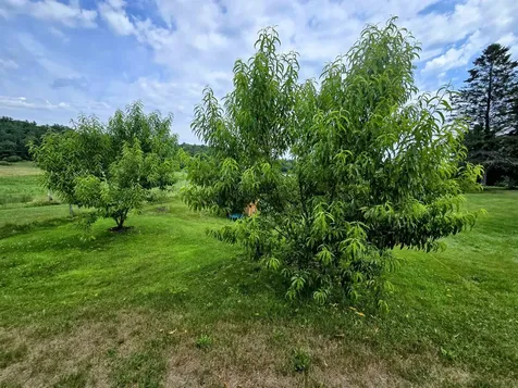 6680 Route 5, S Newbury VT 05051