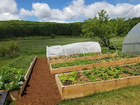 6680 Route 5, S Newbury VT 05051