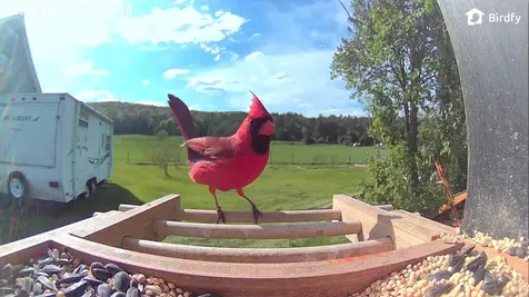 6680 Route 5, S Newbury VT 05051