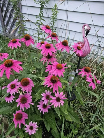 6680 Route 5, S Newbury VT 05051