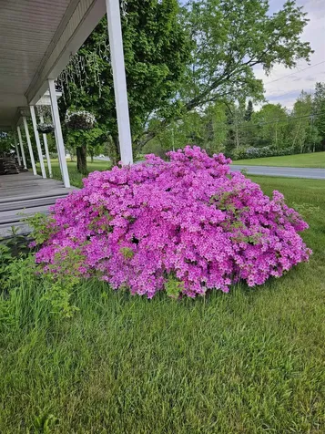 6680 Route 5, S Newbury VT 05051