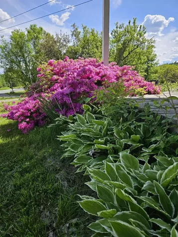 6680 Route 5, S Newbury VT 05051