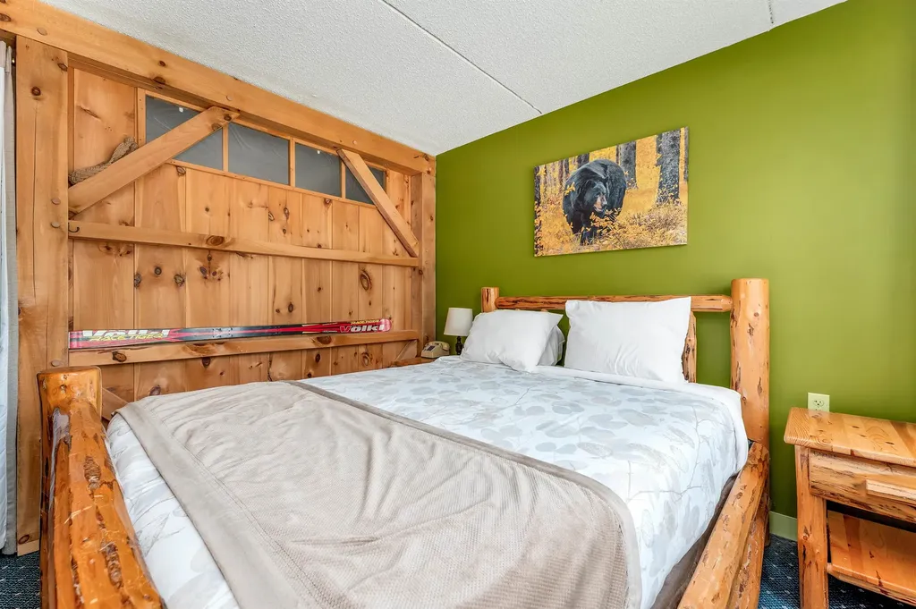 23 Black Bear Road Waterville Valley NH 03215