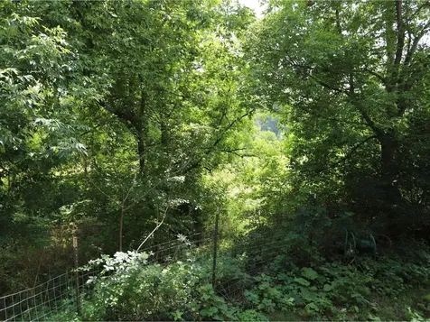 4457 Vt Route 14 Royalton VT 05068