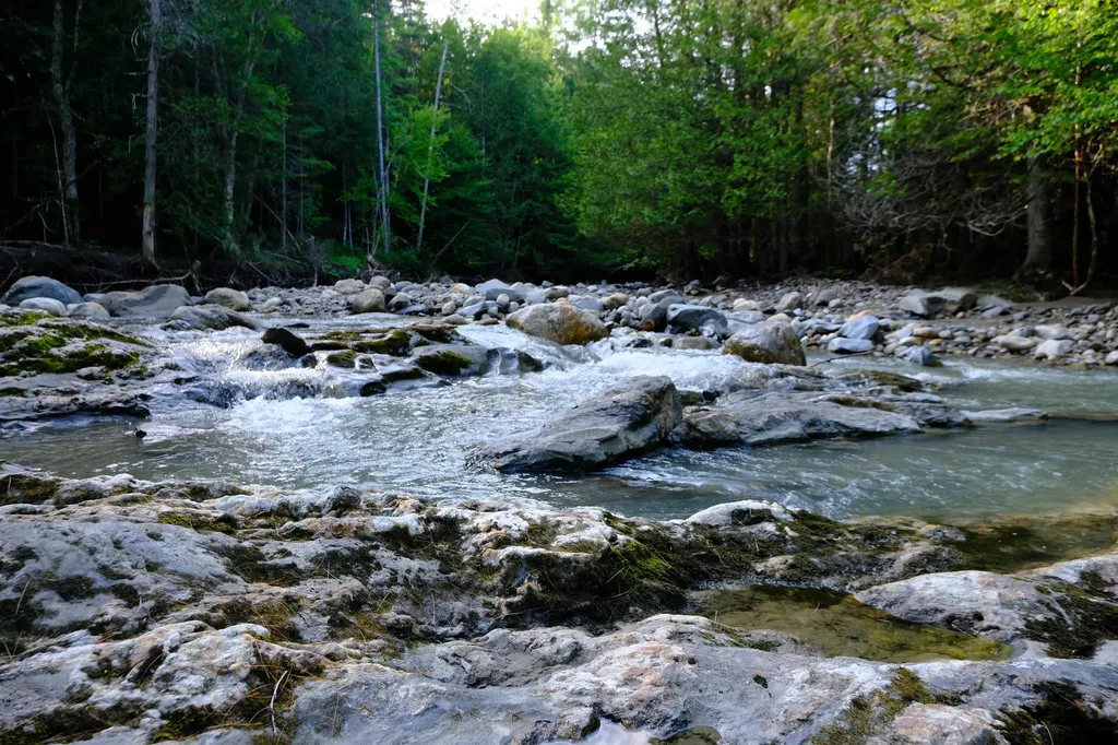 0 Calendar Brook Road Burke VT 05871