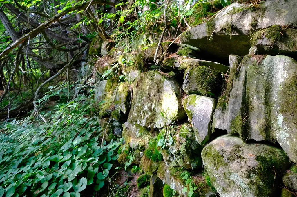 0 Calendar Brook Road Burke VT 05871