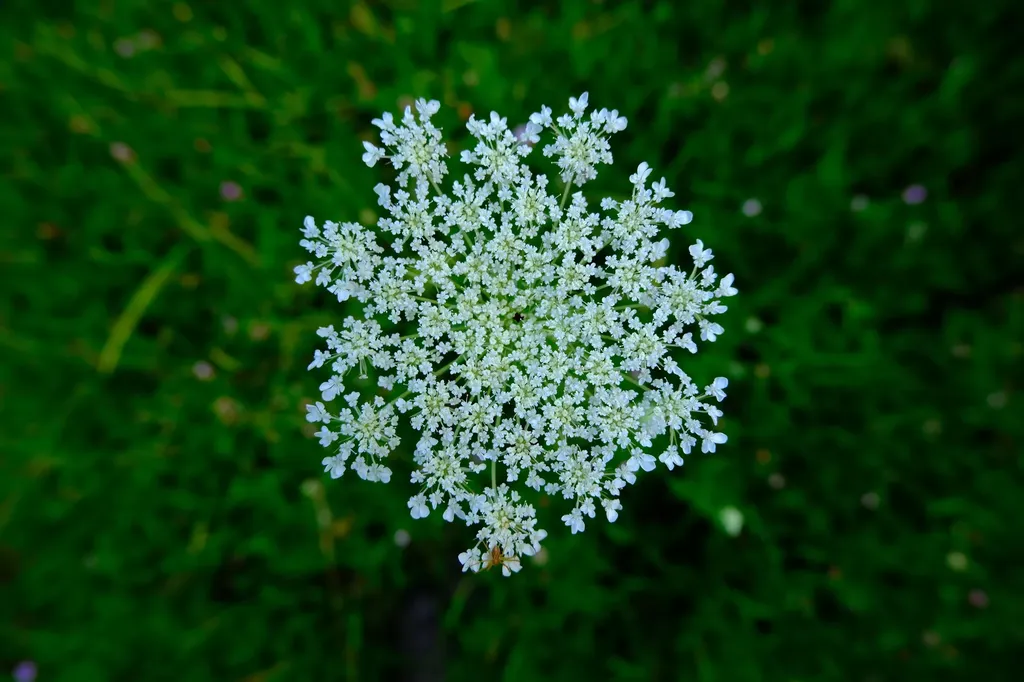 0 Calendar Brook Road Burke VT 05871
