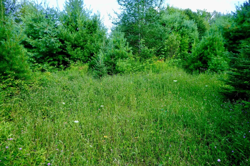 0 Calendar Brook Road Burke VT 05871