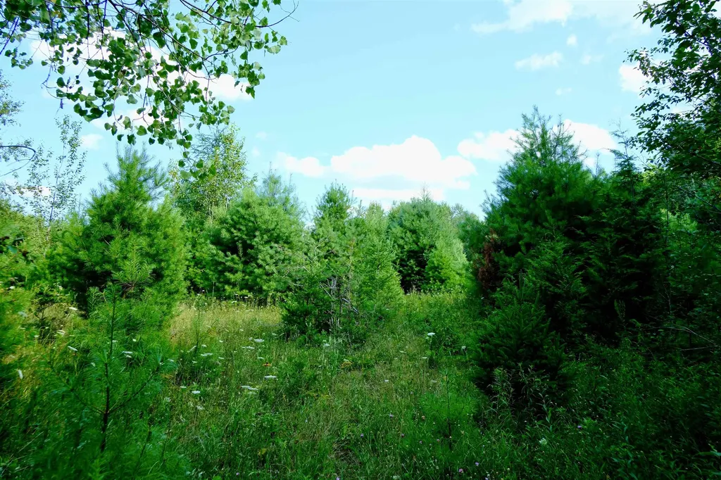 0 Calendar Brook Road Burke VT 05871