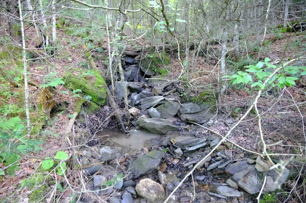 0 Calendar Brook Road Burke VT 05871