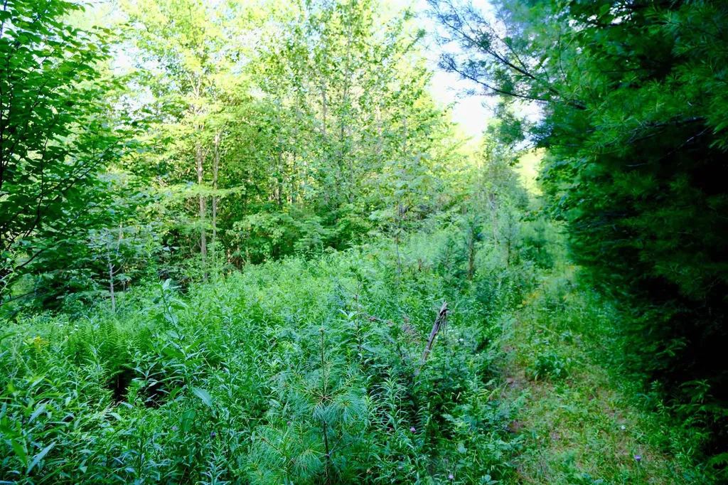 0 Calendar Brook Road Burke VT 05871