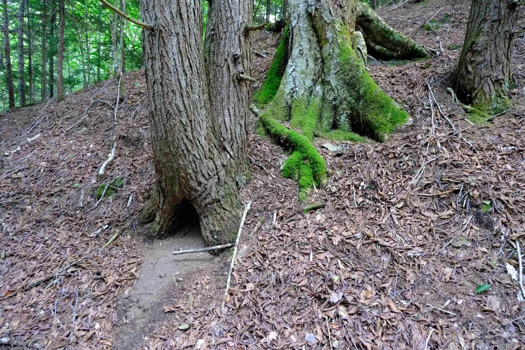 0 Calendar Brook Road Burke VT 05871