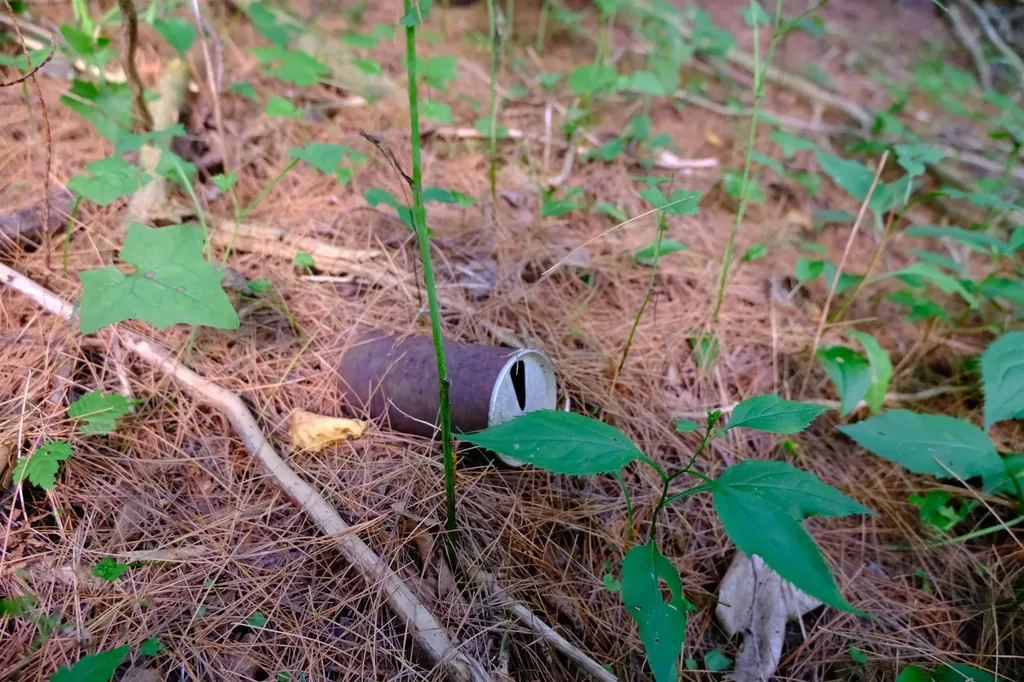 0 Calendar Brook Road Burke VT 05871