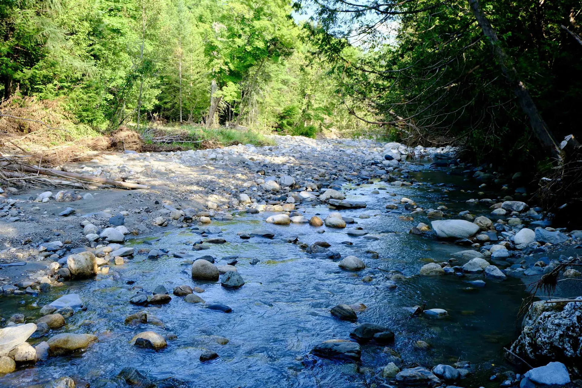 0 Calendar Brook Road Burke VT 05871