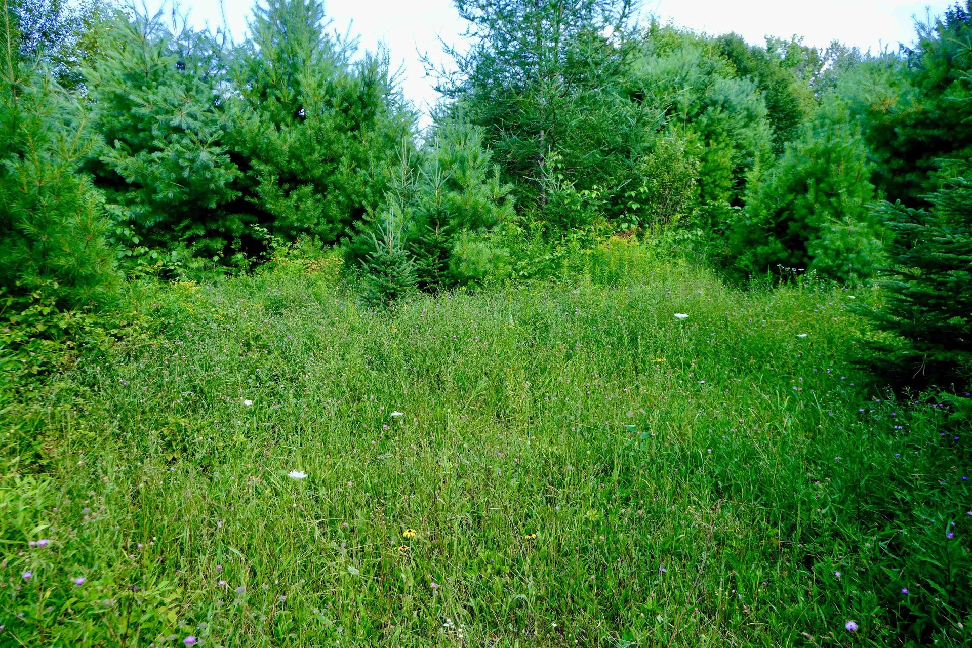 0 Calendar Brook Road Burke VT 05871