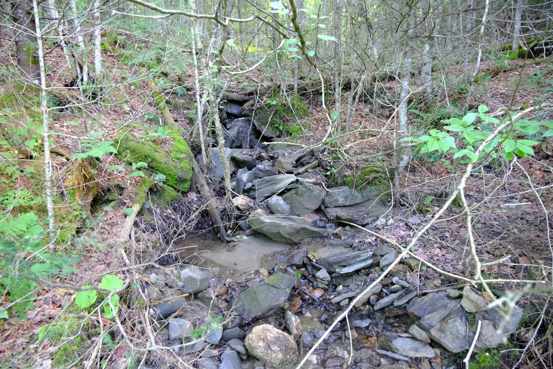 0 Calendar Brook Road Burke VT 05871