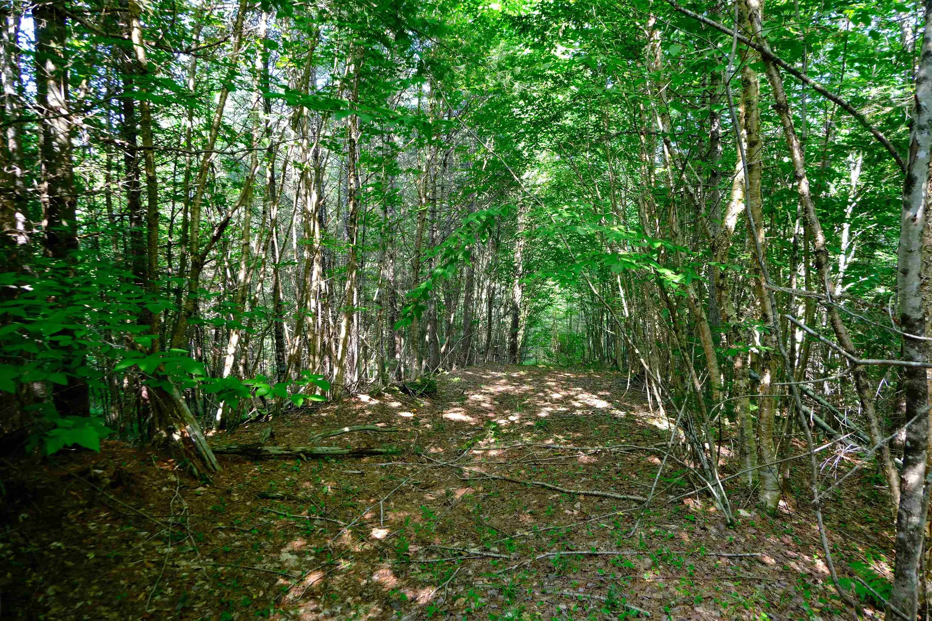 0 Calendar Brook Road Burke VT 05871