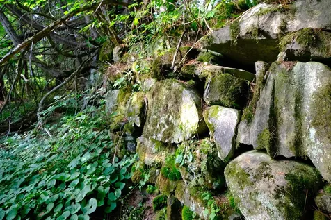 0 Calendar Brook Road Burke VT 05871