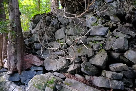 0 Calendar Brook Road Burke VT 05871