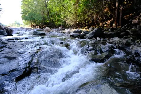 0 Calendar Brook Road Burke VT 05871