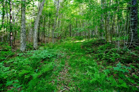 0 Calendar Brook Road Burke VT 05871