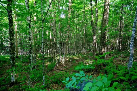 0 Calendar Brook Road Burke VT 05871