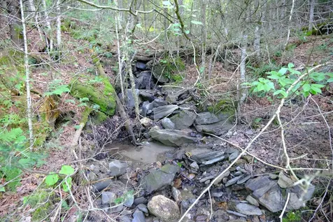 0 Calendar Brook Road Burke VT 05871