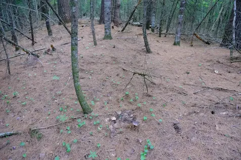 0 Calendar Brook Road Burke VT 05871