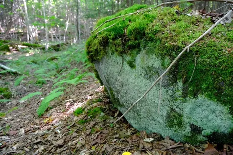 0 Calendar Brook Road Burke VT 05871