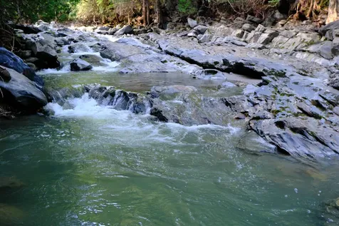 0 Calendar Brook Road Burke VT 05871